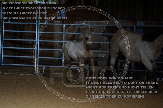 s_K3F04860.JPG